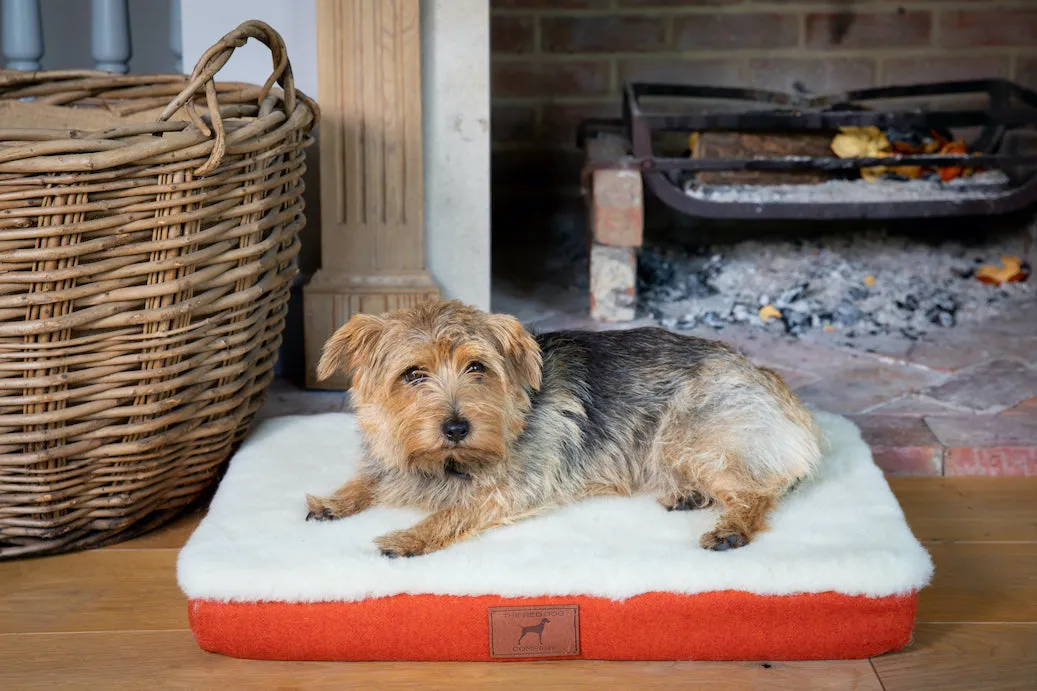 Fire Orange Bespoke Dog Mat